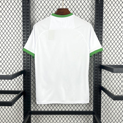 Maillot Irlande Concept 2026